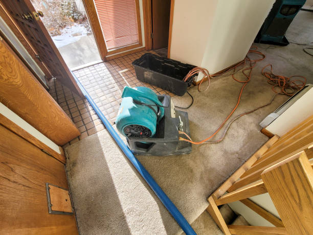 Best Water damage cleanup near me  in Apalachin, NY