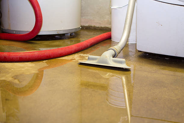 Best Emergency water damage restoration  in Apalachin, NY