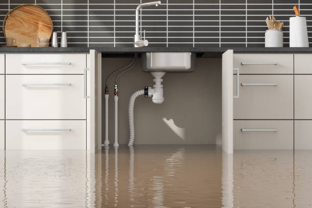  Apalachin, NY Water damage restoration Pros